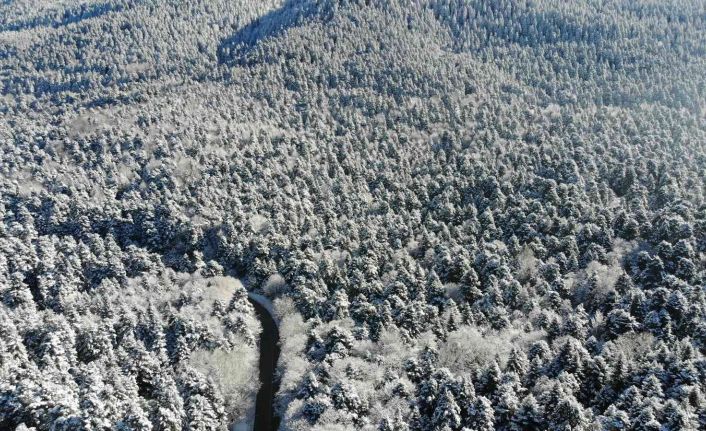 Bolu’nun karla kaplı ormanları havadan görüntülendi