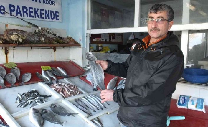 Burhaniye’de balıklar kooperatifle değerlendi