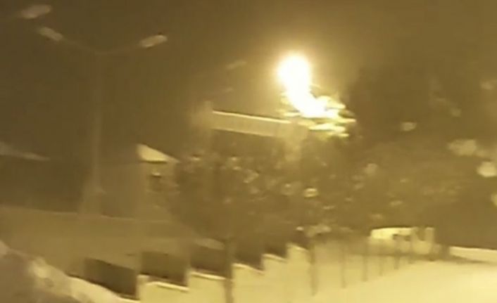 Bursa’da aç kalan tilkiler yemek aramak için şehir merkezine indi