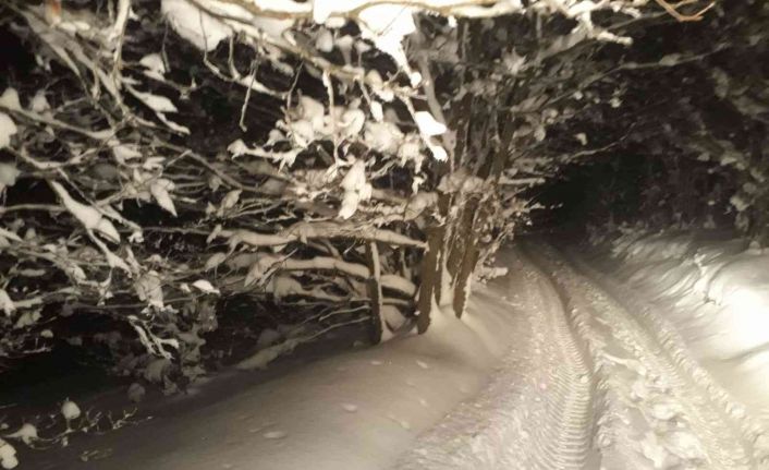 Bursa’da mangal yapmak için gittikleri ormanlık alanda kar nedeniyle mahsur kalan 5 kişi ekipler tarafından kurtarıldı