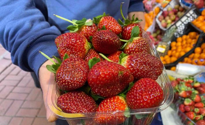 Çilek tezgahlarda yerini aldı, en çok ilgi gösteren pastahaneler oldu