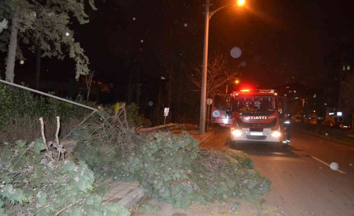 Çorlu’da kuvvetli fırtına: Ağaçlar devrildi, çatılar uçtu, direkler devrildi
