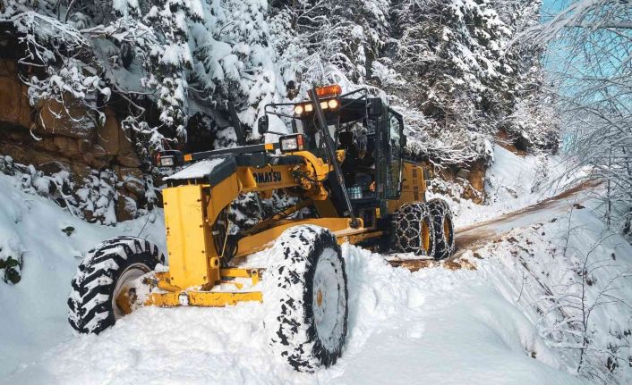 Doğu Karadeniz’de 86 köy ve mahalle yolu kar nedeniyle ulaşıma kapalı