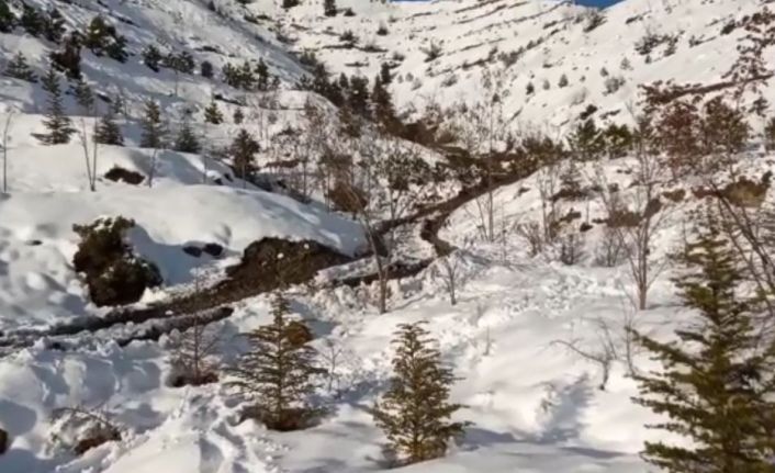 (Düzeltme) Kayıp başvurusunda bulunduğu eşini boğarak öldürdüğünü 3 yıl sonra itiraf etti