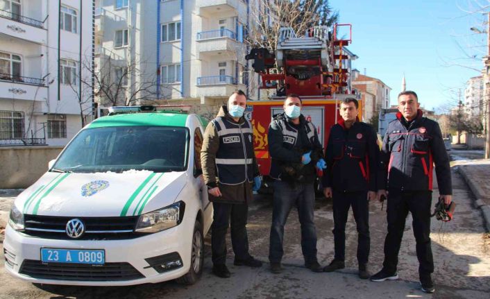 Elazığ’da çatıda mahsur kalan kedi için HAYDİ ve itfaiye ekipleri seferber oldu