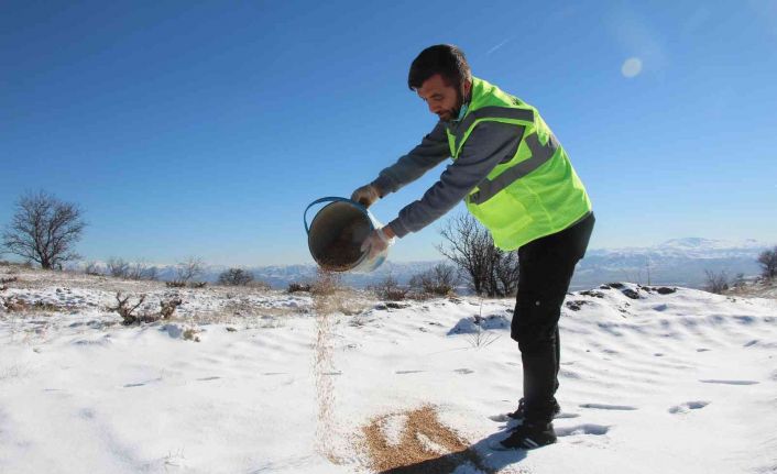 Elazığ’da sokak ve yaban hayvanları için 90 farklı noktaya yem bırakıldı