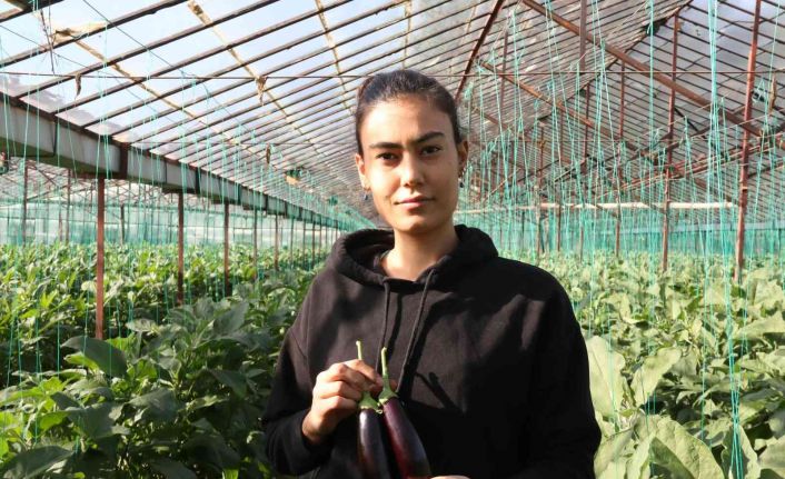 Halde 12, pazarda 15 TL olan patlıcan, Tarım Kredi Kooperatifi marketinde 19,90 TL