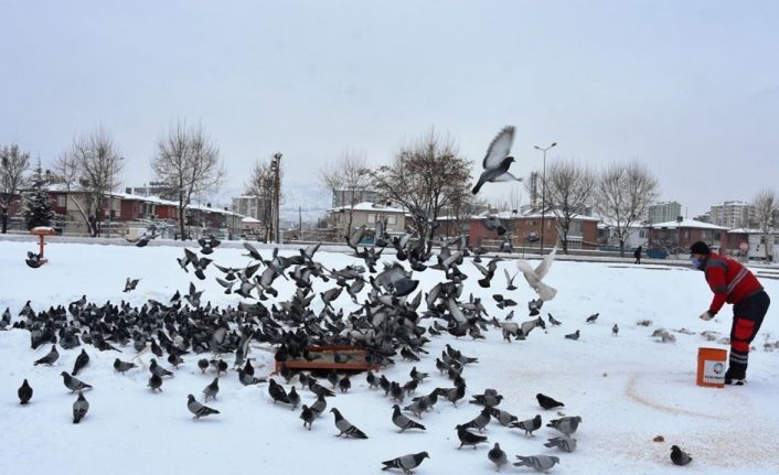 Hayvanseverlerden Başkan Çolakbayrakdar’a teşekkür