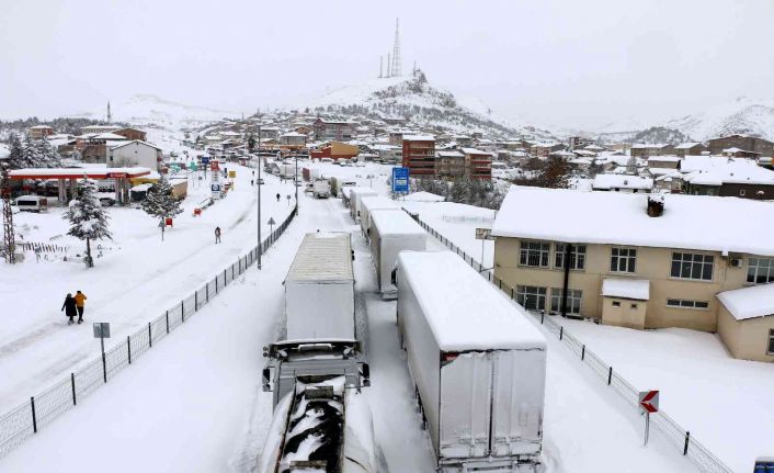 Hekimhan ve Arguvan’da kar etkili oldu