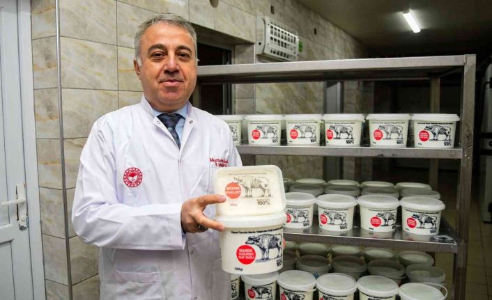 Hürmetçi manda sütü bu tesiste markalaşıyor