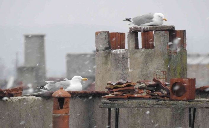 Kar Balkanlar’dan girdi, Edirne’de beklenen kar yağışı başladı