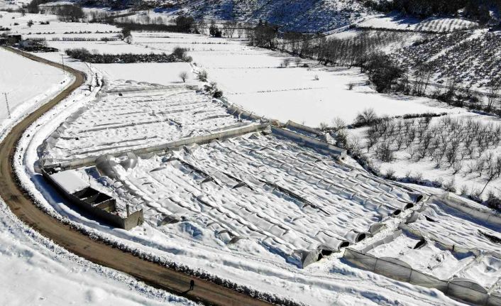 Kar, gül serasını yerle bir etti, 2,5 milyon zarar meydana geldi
