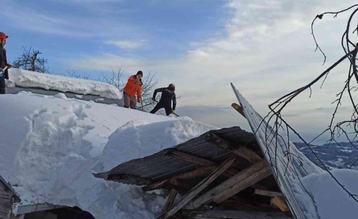 Karın ağırlığına dayanamayan ahırın çatısı çöktü, ekipler hayvanlar için seferber oldu
