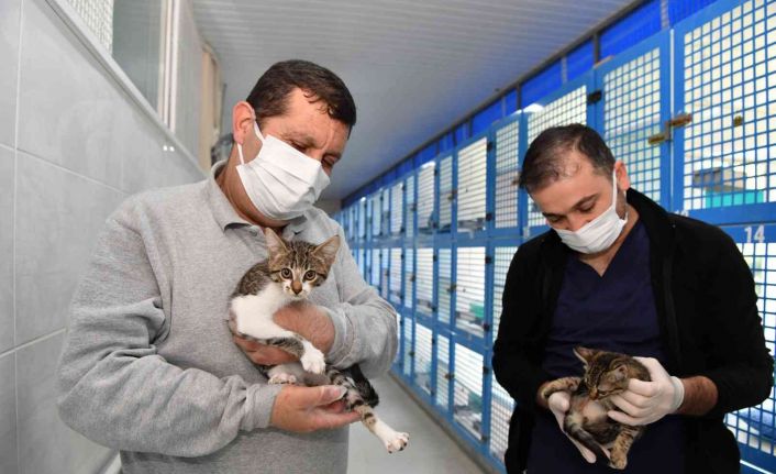 Konyaaltı’nda sokak hayvanları için 2021 yılında 23 ton mama dağıtıldı