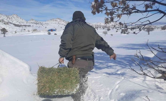 Konya’da yiyecek bulmakta zorlanan yaban hayvanları için doğaya yiyecek takviyesi