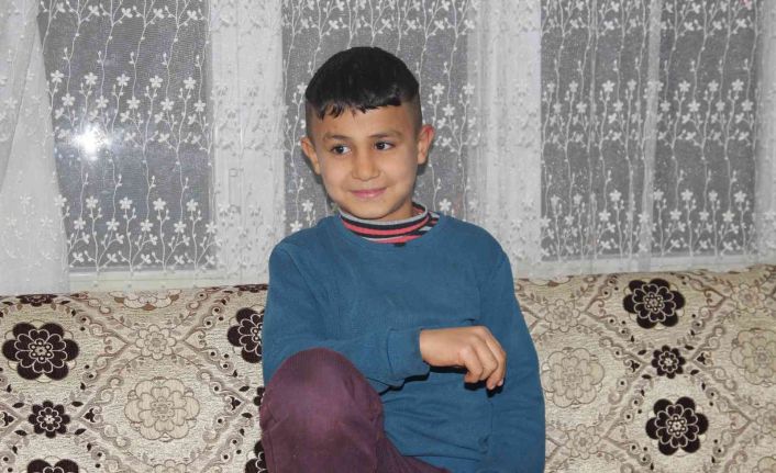 Köpeklerin korkusundan direğe çıkan çocuk: "Bana saldırırlar diye korktum"