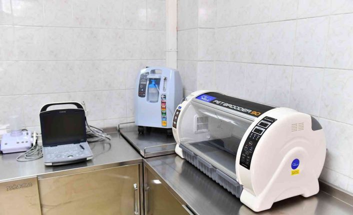 Kurtuluş Sokak Hayvanları Sağlık Merkezi’nin tedavi cihazları yenilendi