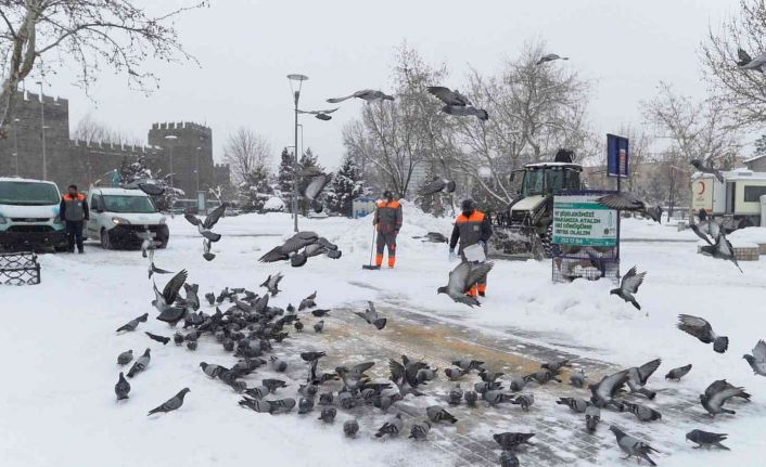 Melikgazi soğuk kış günlerinde sokak hayvanlarını unutmadı