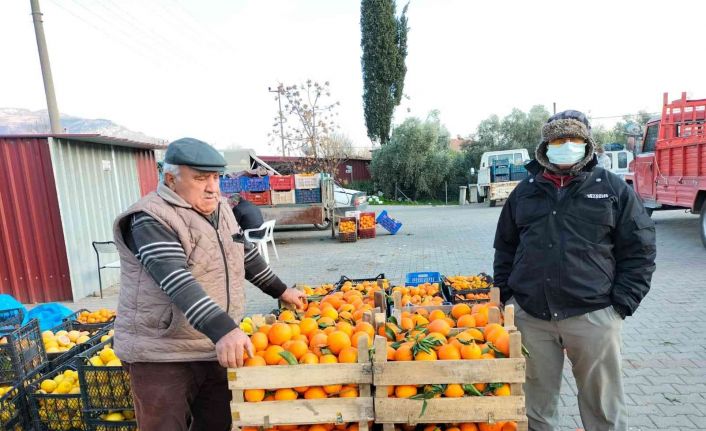 Narenciye üretim merkezinde çiftçiler soğuk hava deposu istiyor