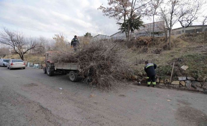 Nevşehir Belediyesi sanayi bölgesindeki yeşil alanlarda bakım ve temizlik çalışmaları başlattı