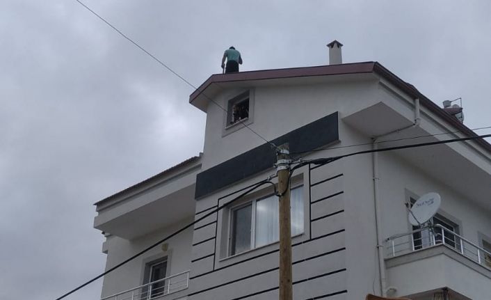 Polisten kaçtı, çatıya çıktı, sonunda gözaltına alındı