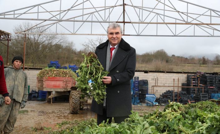 Sakarya tarımına ivme katacak projede sona gelindi