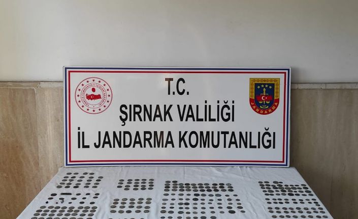 Şırnak’ta çok sayıda tarihi eser ele geçirildi: 2 kişi gözaltına alındı