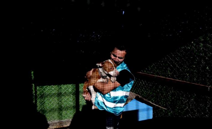 Sokağa bırakılan pitbullar ile dost oldu...Onların sokağa terk edilmesini istemiyor