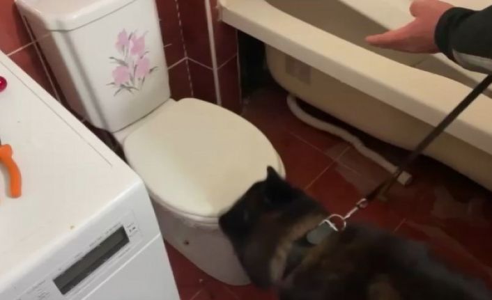 Suç makinesi uyuşturucu tacirlerine operasyon