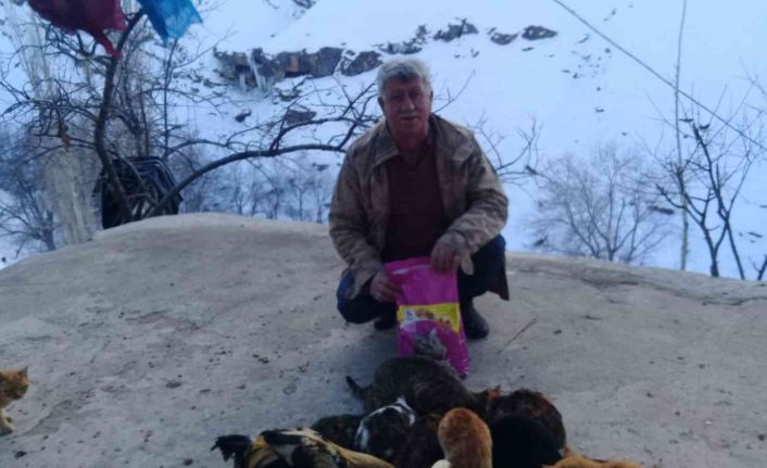 Trabzon’dan Batman Mereto dağı eteklerindeki kedilere mama