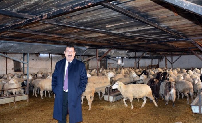 TÜDKİYEB Genel Başkanı Çelik: ”TMO’nun arpaya yaptığı zammı geri çekmesi, yetiştiricimiz açısından sevindirici olmuştur"