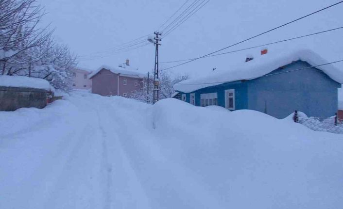 Tunceli’de 290 köy ile 758 mezra yolu ulaşıma kapalı bulunuyor