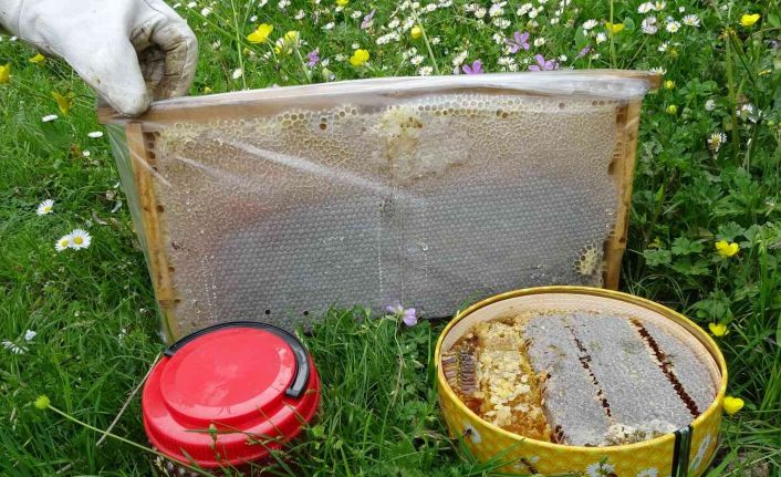 Uzmanı uyardı: “Piyasada hiç arı görmeden üretilen sahte ballar var”