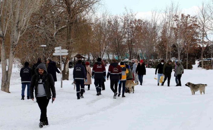 Van Büyükşehir Belediyesi sokak köpeklerini ’mikroçip’ ile kayıt altına alıyor