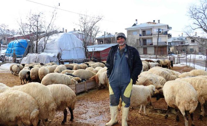 Yazın yaylalarda hayvanlarını otlatan besiciler, kışın hayvanlarını ahırlarda bakıp kar üzerinde besliyor