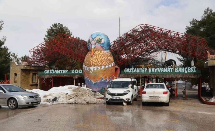 2021’de Gaziantep Hayvanat Bahçesini 2 milyon 750 bin kişi ziyaret etti
