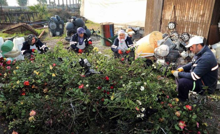 Akdeniz bahara hazırlanıyor