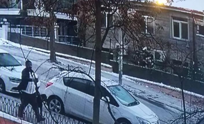 Ankara’da bir hayvansever çalınan 2 köpeğini 18 gündür sokak sokak arıyor