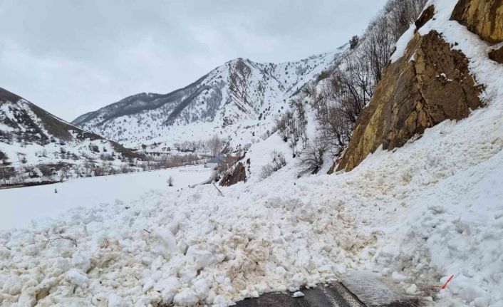 Bingöl’de 3 noktada çığ düştü