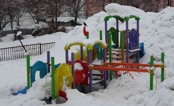 Bitlis’te 67 köy yolu ulaşıma kapandı