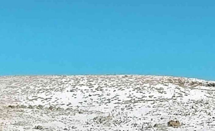 Diyarbakır’da kar yağışının etkili olduğu Ocak ayı bilançosu açıklandı: 436 kazada 277 kişi yaralandı