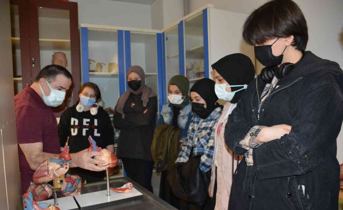 Düzce Üniversitesi gönüllüsü oldular