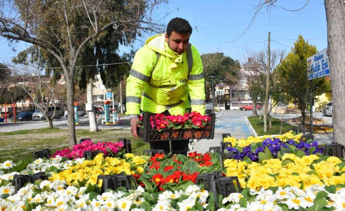 Edremit bahara erken girdi