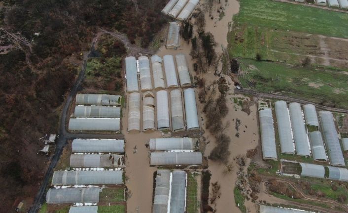 (Güncelleme) İBB’nin köprü inşaatı yarıda kaldı, derenin taşmasıyla seralar su altında kaldı