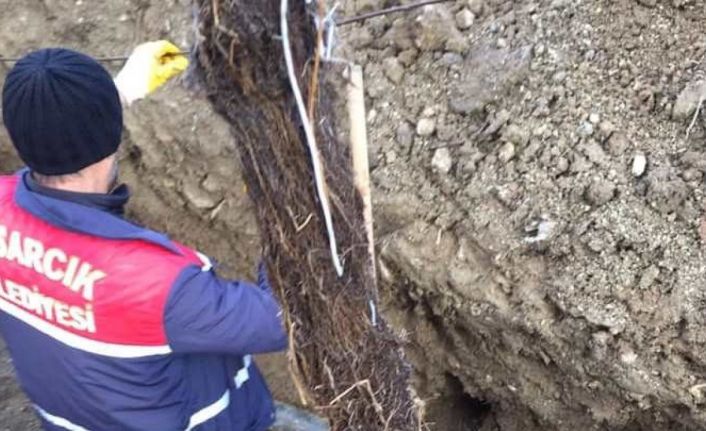 Hisarcık’ta su borusunun içinden çıkarılan 5 metre ağaç kökü şaşırttı