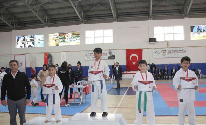 Karatede madalyalar sahiplerini buldu