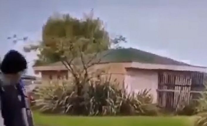 Kedi yavrusuna tekme atan Iraklı gencin 5 yıl hapsi isteniyor