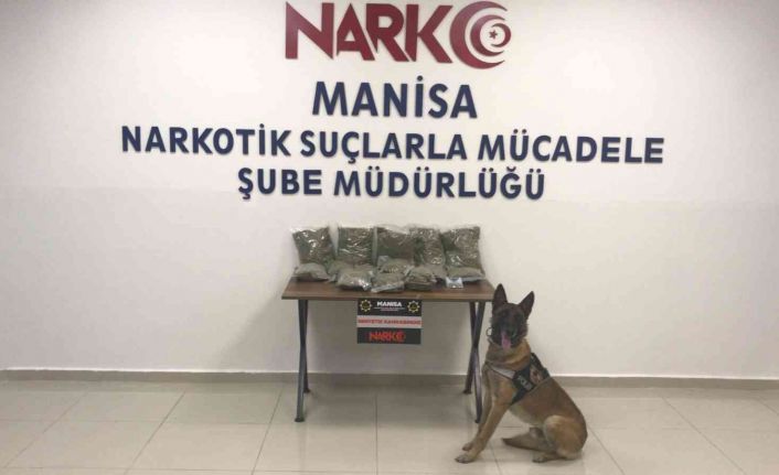 Kovalamaca sonucu durdurulan araçta 10 kilo bonzai ele geçirildi