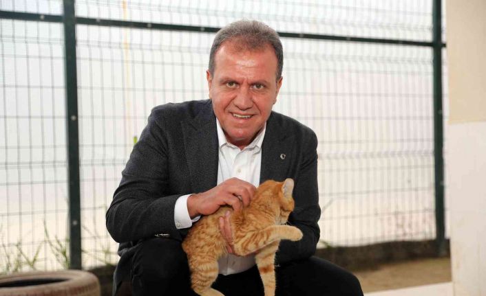 Mersin’de ocak ayında 101 tehlike arz eden ırk hayvan barınağa teslim edildi