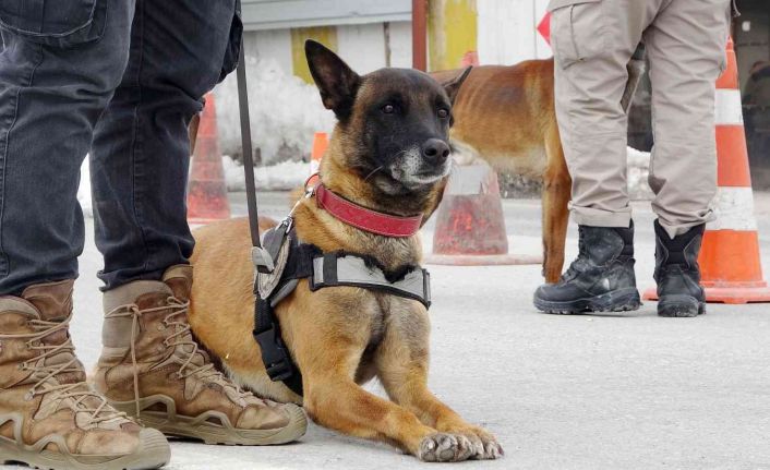 Muş’ta otoyollar hassas burunlara emanet